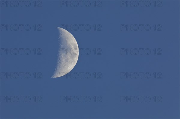 Waxing moon (Luna) in the early evening under a blue sky, Wilnsdorf, North Rhine-Westphalia, Germany, Europe