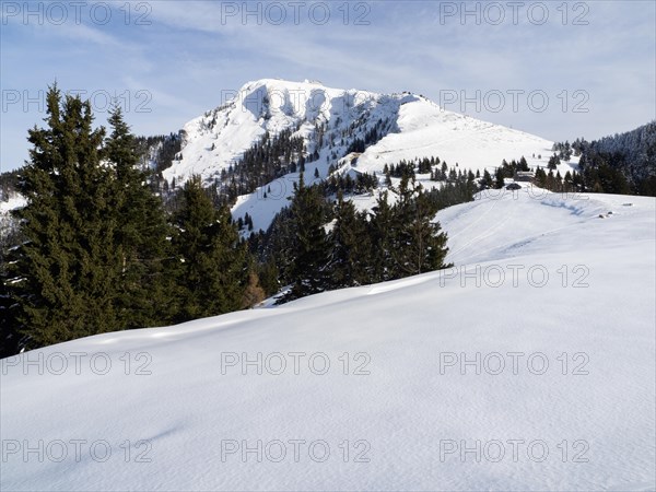 Winter landscape, view to the Schafberg, Sankt Wolfgang am Wolfgangsee, Salzkammergut, Upper Austria, Austria, Europe