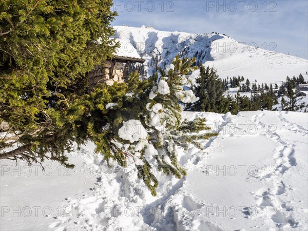 Winter landscape, view to the Schafberg, Sankt Wolfgang am Wolfgangsee, Salzkammergut, Upper Austria, Austria, Europe