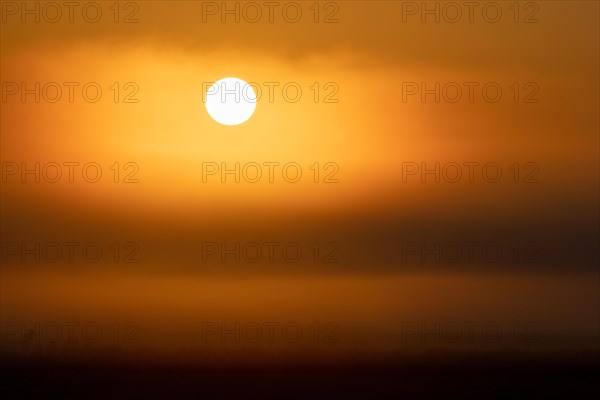 Sunrise in the fog, Federsee lake