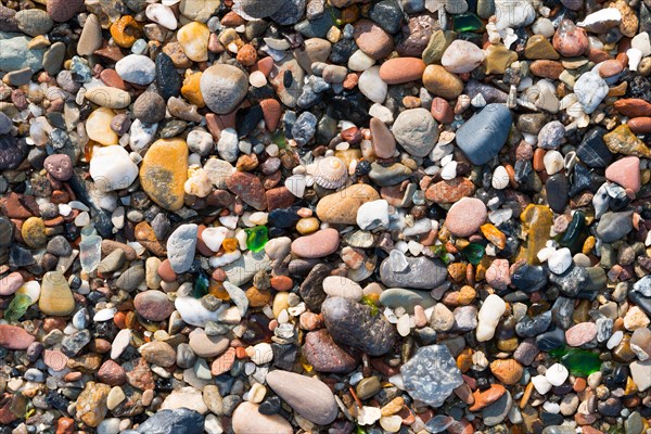 Close-up of different coloured pebbles, snail shell of a sea snail and smoothly ground glass particles, glass, on the beach of the North Sea, Helgoland Island, Schleswig-Holstein, Germany, Europe