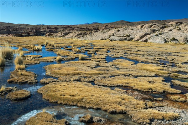 Eduardo Avaroa National Park Bolivia