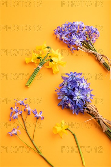 Spring snowdrop flowers bluebells, narcissus on orange pastel background. side view, close up, still life. Beauty, spring concept