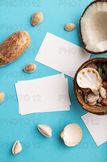 White paper business card with coconut and seashells on blue pastel background. Top view, flat lay, copy space. Tropical, healthy food, vacation, holidays concept