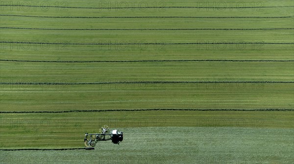 Farmer cutting grass to straight rows with tractor and large roundabout rake, drone shot, Upper Bavaria, Bavaria, Germany, Europe