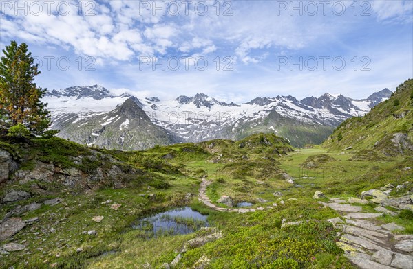 Hiking trail in picturesque mountain landscape, mountain peaks with snow and glacier Hornkees and Waxeggkees, summit Grosser Moeseler and Hornspitzen, Berliner Hoehenweg, Zillertal Alps, Tyrol, Austria, Europe