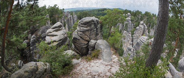 A panoramic view over bizarre rock structures surrounded by forest under a partly cloudy sky, Prachovske skaly, Prachov Rocks, Bohemian Paradise, Cesky raj, Czech Republic, Europe