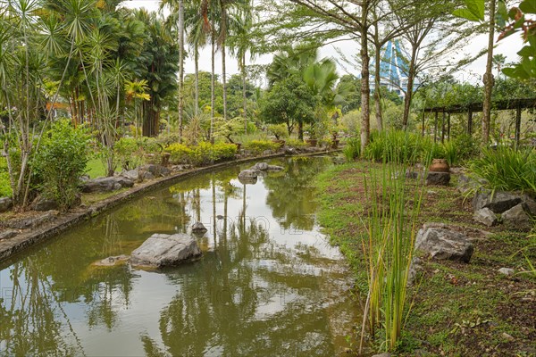 Palm collection in city park in Kuching, Malaysia, tropical garden with large trees, pond with small waterfall, gardening, landscape design. Daytime with cloudy blue sky, Asia