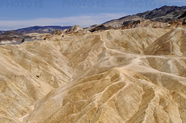 Landscape at Zabriskie Point, Death Valley National Park, Mojave Desert, California, Nevada, America, USA, North America