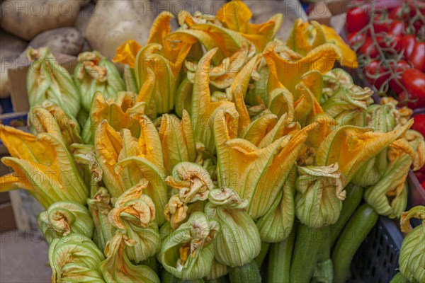 Courgette flowers, weekly market market, Catania, Sicily, Italy, Europe