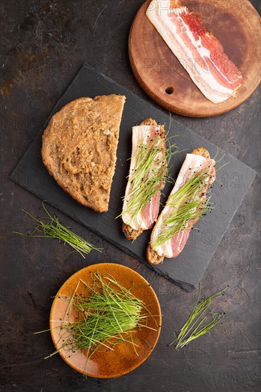 Bread sandwiches with jerky salted meat and lard with onion microgreen on black concrete background. top view, flat lay, close up