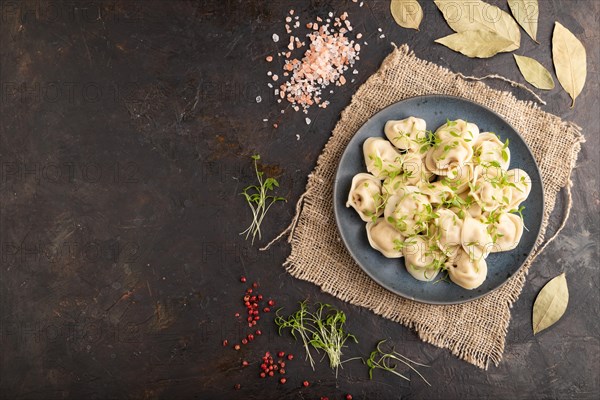 Dumplings with pepper, salt, herbs, microgreen on black concrete background and linen textile. Top view, flat lay, copy space