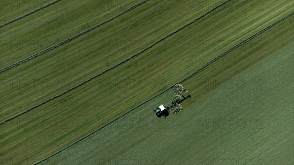 Farmer cutting grass to straight rows with tractor and large roundabout rake, drone shot, Upper Bavaria, Bavaria, Germany, Europe