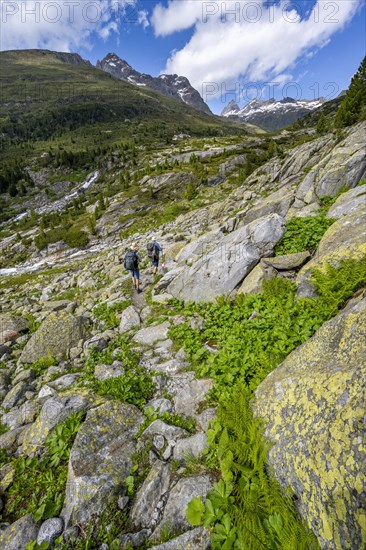 Mountaineers on a hiking trail in front of a picturesque mountain landscape, rocky mountain peaks with snow, behind mountain hut Berliner Huette and rocky mountain peaks, Berliner Hoehenweg, Zillertal Alps, Tyrol, Austria, Europe