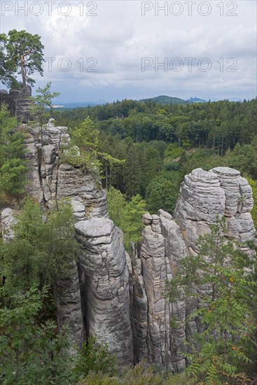 Wooded rock formations under a slightly cloudy sky, Prachovske skaly, Prachov Rocks, Bohemian Paradise, Cesky raj, Czech Republic, Europe