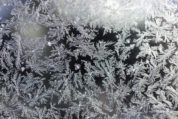 Frost Ice crystals Ice flowers