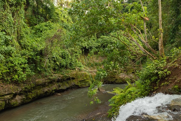 Uma Anyar waterfall, Bali island, Ubud, Indonesia. Jungle, tropical forest, daytime with cloudy sky