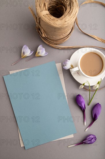 Blue paper sheet mockup with spring snowdrop crocus and galanthus flowers and cup of coffee on gray background. Blank, business card, top view, flat lay, copy space, still life. spring concept
