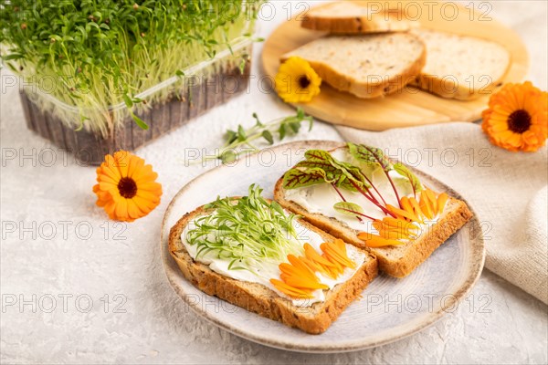 White bread sandwiches with cream cheese, calendula petals and microgreen on gray concrete background and linen textile. side view, close up, selective focus