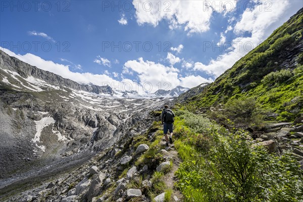 Mountaineer on hiking trail, mountain landscape with rocky mountains and snow, Berliner Hoehenweg, Zillertal Alps, Tyrol, Austria, Europe