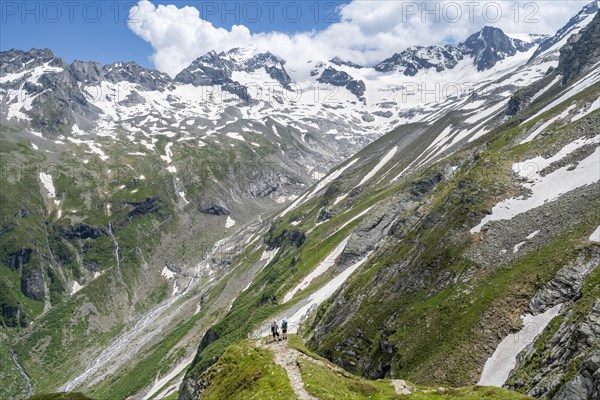 Mountaineer on hiking trail in picturesque mountain landscape, in the background mountain peak Grosser Loeffler and Oestliche Floitenspitze with glacier Floitenkees, valley Floitengrund, Berliner Hoehenweg, Zillertal Alps, Tyrol, Austria, Europe