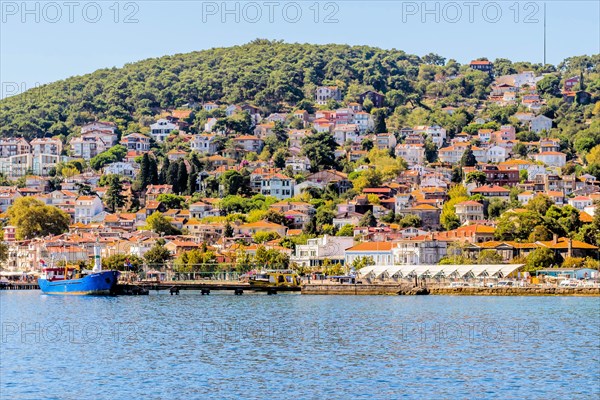 Houses on Princess Island and tanker docked in harbor in Turkey