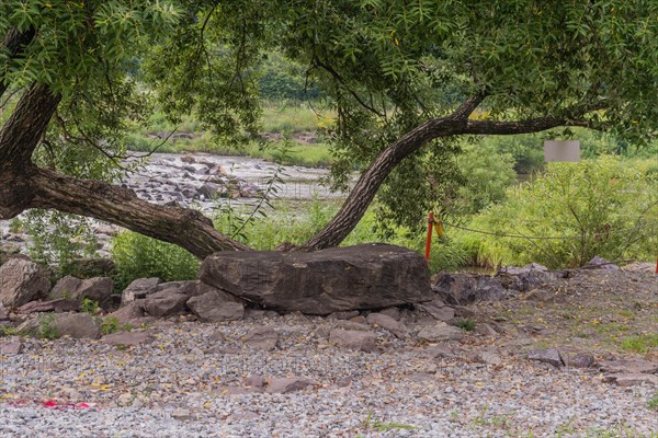 Large boulder placed under tree as bench for tourists to rest with river in background in South Korea