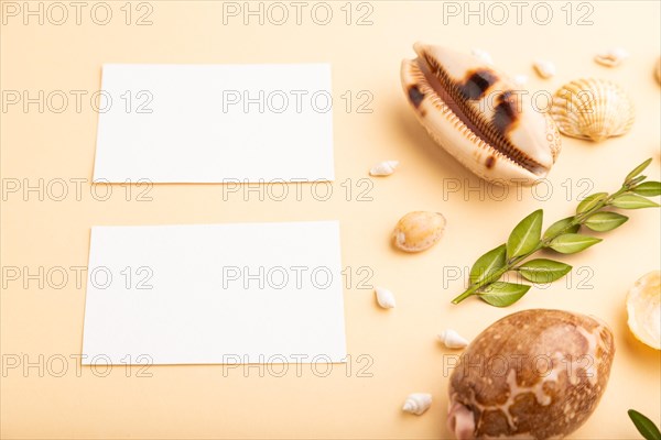 Composition of white paper business cards, seashells, green boxwood. mockup on orange background. Blank, side view, still life, copy space. travel concept