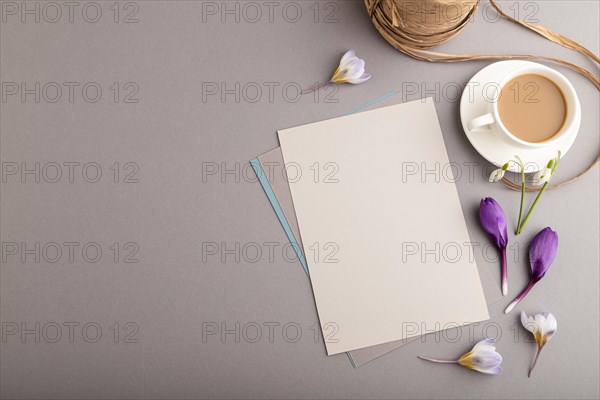 Gray paper sheet mockup with spring snowdrop crocus and galanthus flowers and cup of coffee on gray background. Blank, business card, top view, flat lay, copy space, still life. spring concept