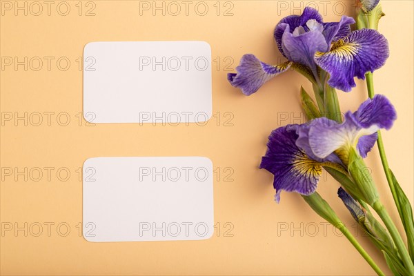 White business card with blue iris flowers on orange pastel background. top view, flat lay, copy space, still life. Breakfast, morning, spring concept
