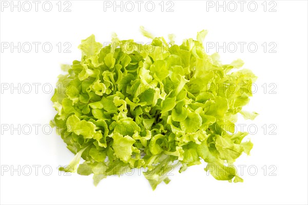 Plastic box with microgreen sprouts of green lettuce isolated on white background. Top view, flat lay, close up