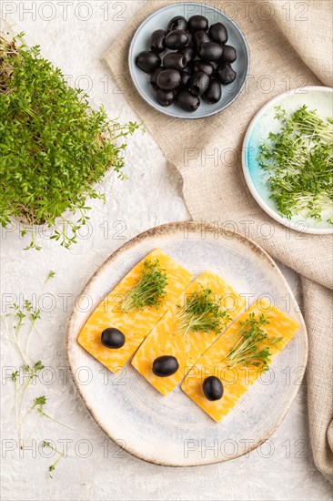 Marble cheese with olives and watercress microgreen on gray concrete background and linen textile. top view, flat lay, close up