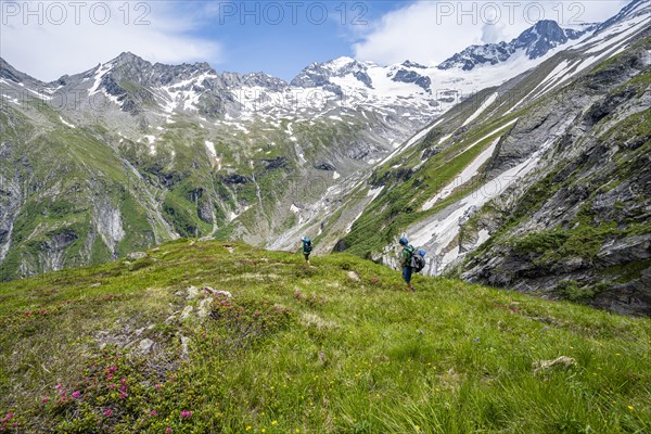 Mountaineer on hiking trail in picturesque mountain landscape, in the background mountain peak Grosser Loeffler and Oestliche Floitenspitze with glacier Floitenkees, valley Floitengrund, Berliner Hoehenweg, Zillertal Alps, Tyrol, Austria, Europe