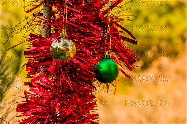 Green and gold Christmas ornaments and red tensile garland hanging on pine tree in local park in South Korea