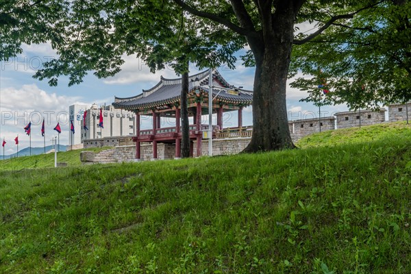 Main gate of Hongjueupseong walled town behind large tree with cloudy sky in background in South Korea