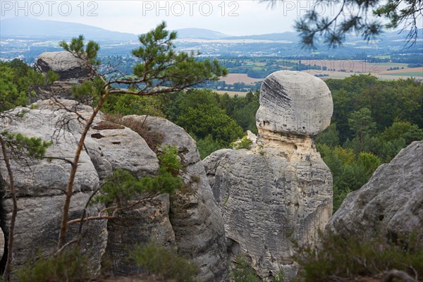 Nature view with imposing rocks and trees in front of a cloudy sky, Hruboskalske skalni mesto, Hruba Skala, Hruba Skala, Gross Skal, Grossskal, Bohemian Paradise, Liberecky kraj, Czech Republic, Europe