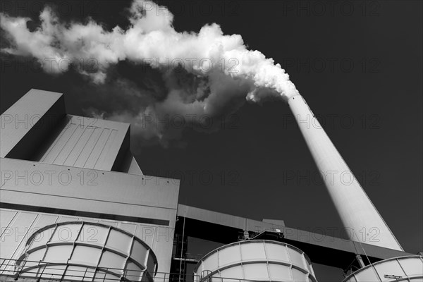 Symbolic image, energy turnaround, large power plant Mannheim, fossil fuels, smoking chimney, industrial plant, chimney, smoke, coal, black and white image, Mannheim, Baden-Wuerttemberg, Germany, Europe