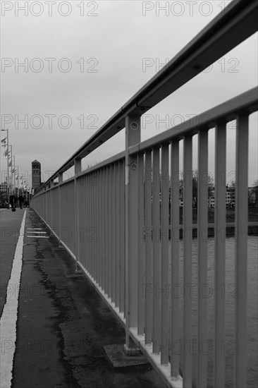 View over a bridge over the Rhine, black and white, Cologne, Germany, Europe