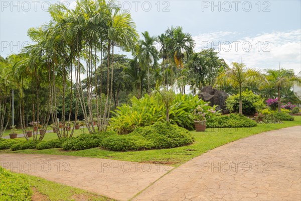 Palm collection in city park in Kuching, Malaysia, tropical garden with large trees and lawns, gardening, landscape design. Daytime with cloudy blue sky, Asia