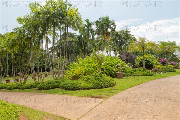 Palm collection in city park in Kuching, Malaysia, tropical garden with large trees and lawns, gardening, landscape design. Daytime with cloudy blue sky, Asia