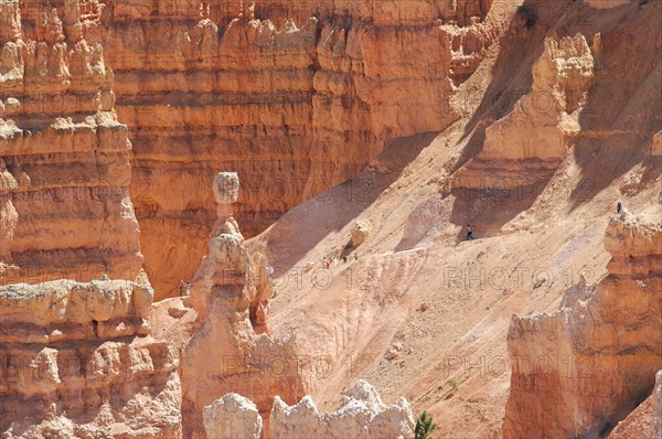 Rocky landscape with hoodoos, Bryce Canyon National Park, Utah, America, USA, North America