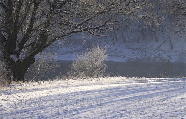 Winter in the Elbe Sandstone Mountains, banks of the Elbe, Saxony, Germany, Europe