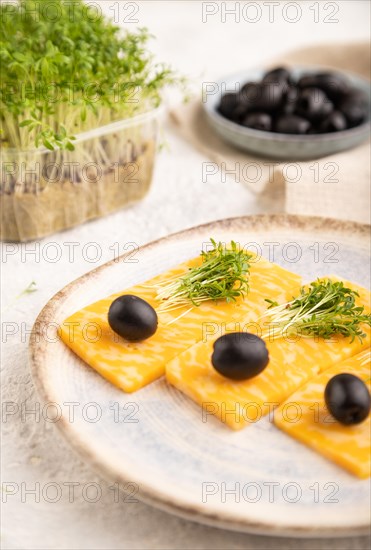 Marble cheese with olives and watercress microgreen on gray concrete background and linen textile. side view, close up, selective focus