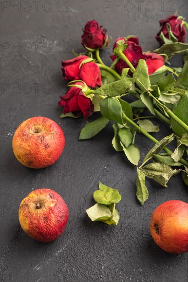 Withered, decaying, roses flowers and apples on black concrete background. side view, close up, still life. Death, depression concept