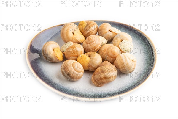 Grape (Burgundy) snails with butter and cheese isolated on white background. Side view