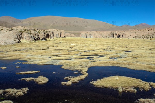 Eduardo Avaroa National Park Bolivia