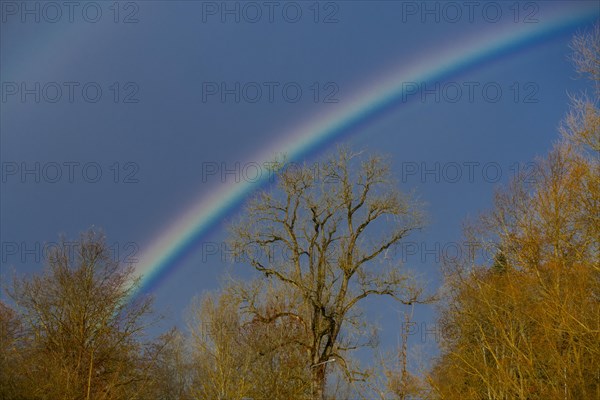 Rainbow at the confluence of the Breg and Brigach rivers to form the Danube, source of the Danube, Donaueschingen, Baden-Wuerttemberg, Germany, Europe