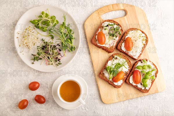 Red beet bread sandwiches with cream cheese, tomatoes and microgreen on gray concrete background. top view, flat lay, close up