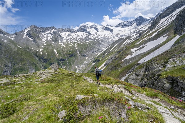 Mountaineer on hiking trail in picturesque mountain landscape, in the background mountain peak Grosser Loeffler with glacier Floitenkees, valley Floitengrund, Berliner Hoehenweg, Zillertal Alps, Tyrol, Austria, Europe