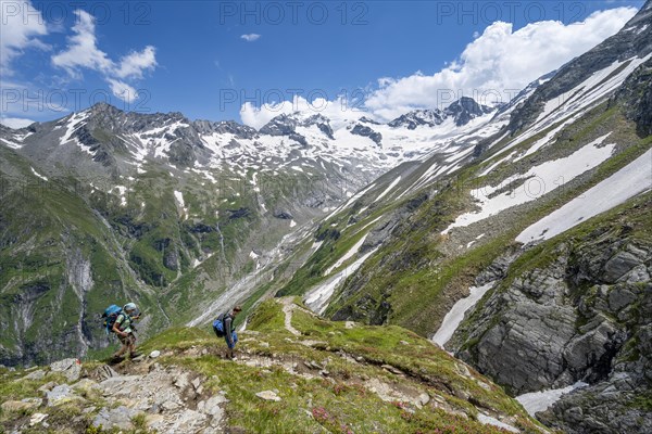 Mountaineer on hiking trail in picturesque mountain landscape, in the background mountain peak Grosser Loeffler and Oestliche Floitenspitze with glacier Floitenkees, valley Floitengrund, Berliner Hoehenweg, Zillertal Alps, Tyrol, Austria, Europe